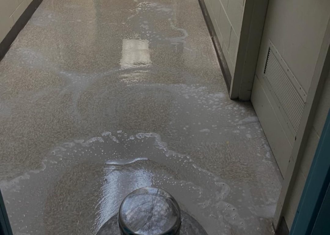 fresh_clean_max_1764235712_3775005226831736414_55412617529